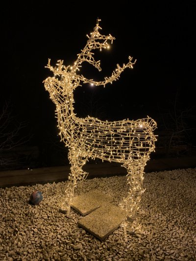 Starostlivosť o vianočné osvetlenie